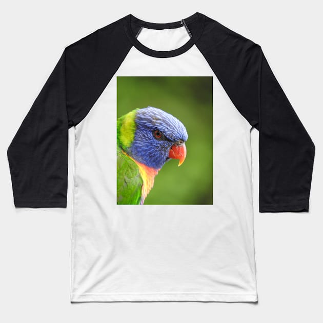 Rainbow Lorikeet Baseball T-Shirt by kirstybush